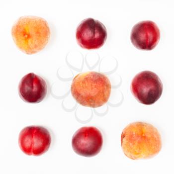 several nectarines and peaches arranged in square on white background