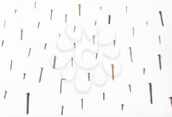 side view of many wood screws and self-tapping screws arranged on white background