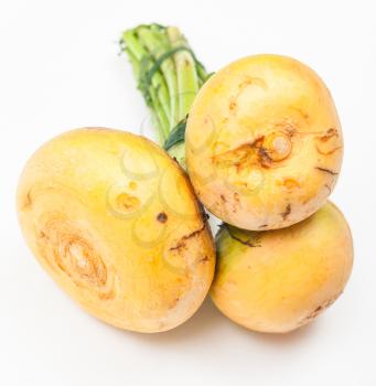 bunch of fresh cut turnip roots on white background