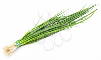bunch of fresh cut green chives onion on white background
