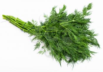 bunch of fresh green dill herb on white background