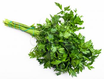 bunch of fresh cut green parsley herb on white background