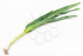stalk of fresh green leek onion on white background