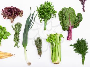 set from bunches of various culinary grasses (chives, beet tops, turnip, basil, celery, rosemary, thyme, mint, parsley, cress, lettuce, spinach, sorrel, cilantro, arugula, leek, dill) on white