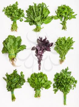 set from bunches of fresh cut green herbs (cilantro, sorrel, mint, spinach, red basil, rucola, celery, cress, parsley) on white background