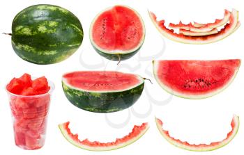 collection from whole and sliced watermelons and rinds isolated on white background