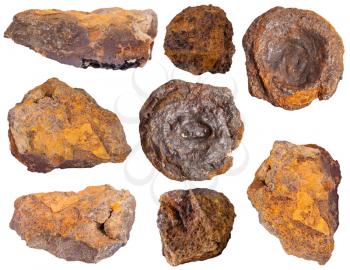 collection from specimens of limonite ore (iron ore, bog iron ore, brown hematite, brown iron ore, lemon rock, yellow iron ore) isolated on white background