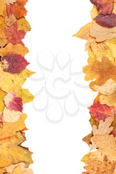 left and right frames from yellow autumn leaves with blank cut out space