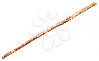 wooden staff from tree trunk isolated on white background