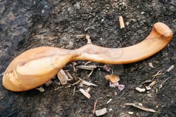 back side of wooden spoon carved from Apple tree wood lying on ground