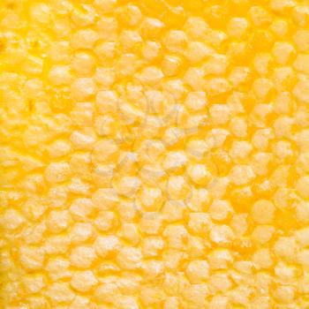 square background - yellow honeycomb with honey
