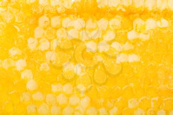 natural background - yellow fresh honeycomb with honey