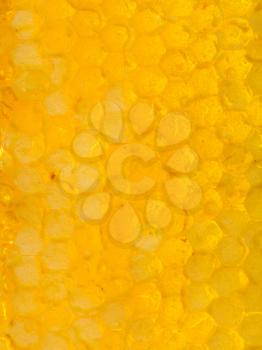 natural texture - honeycomb under fresh honey