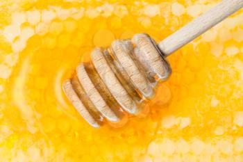 wooden honey dipper on surface of honeycomb with honey