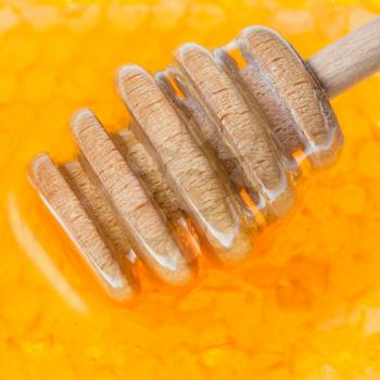 wooden honey dipper on surface of honeycomb with honey close up