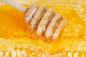 wooden honey spoon on surface of honeycomb with honey