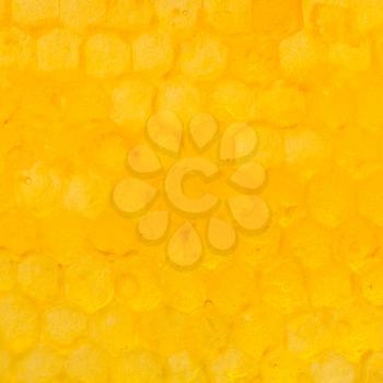 natural pattern - honeycomb cells under yellow honey