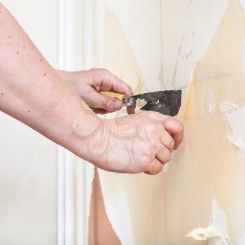 repairing of apartment, wallpapering: preparation of walls. Scrape the backing off the wall