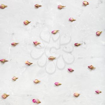 natural pink rose flower buds on square gray concrete plate