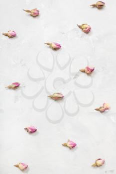 natural pink rose flower buds on gray concrete board close up