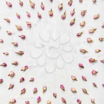 round frame from many natural pink rose flower buds on gray concrete board