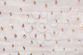 many natural pink rose flower buds on wooden plank