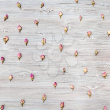 many pink rose flower buds on square wooden plank
