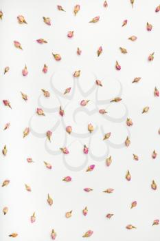 dried natural pink rose flower buds on white textured paper background