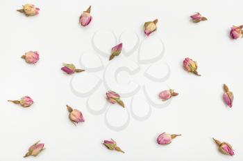 pink rose flower buds close up on white textured paper background