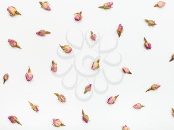 pink rose flower buds on white textured paper background