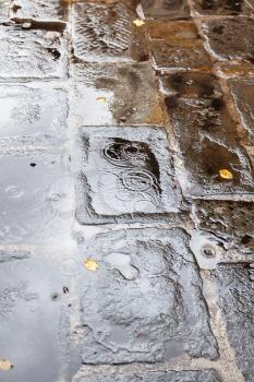 travel to Italy - urban pavement with rain puddle and yellow fallen leaves in Florence city in autumn