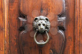 travel to Italy - lion head knocker on old wooden door in Florence city