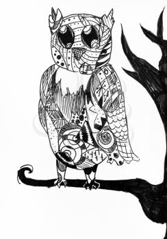 owl sit on tree branch hand drawn by black felt pen