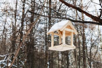 wooden bird feeder on tree branch in forest in winter