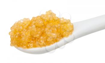salty yellow caviar of pike fish in ceramic spoon isolated on white background