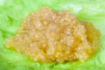 portion of salty yellow caviar of pike fish on green leaf