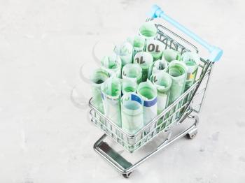 shopping trolley with rolls from euro banknotes on concrete board