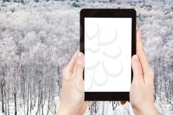 weather concept - hands hold tablet with cut out screen with snow woods on background in winter