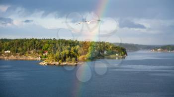 seagull and rainbow over green coast of Baltic Sea with village in sunny autumn day, Sweden