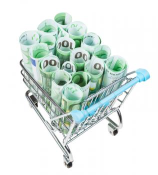 shopping trolley with rolls from euro banknotes isolated on white background