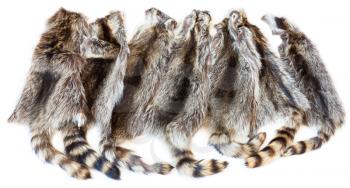 material for fur clothing - many natural raccoon pelts