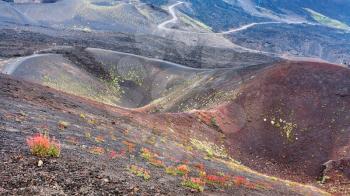 travel to Italy - several craters on Mount Etna in Sicily in summer day