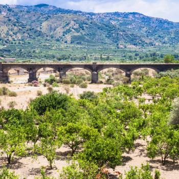 agricultural tourism in Italy - citrus garden in Alcantara river valley in Sicily