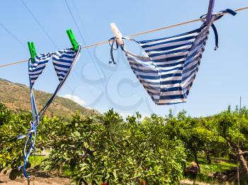 agricultural tourism in Italy - swim suits dry in сitrus garden in Sicily is summer sunny day
