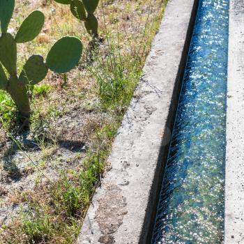 agricultural tourism in Italy - cactus and irrigating ditch in Sicily