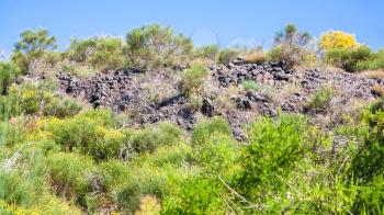 travel to Italy - overgrown petrified lava flow after volcano Etna eruption in Sicily