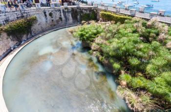 SYRACUSE, ITALY - JULY 3, 2011: people view of Fonte Arethusa (Spring of Arethusa) in Syracuse city in Sicily. In ancient Greek mythology Arethusa was Nereids nymph of a fresh water spring