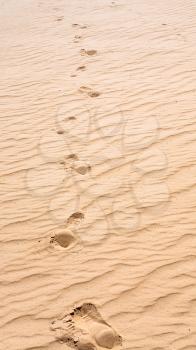 Travel to Middle East country Kingdom of Jordan - Footprints on the sand of dune in Wadi Rum desert in sunny winter day