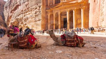 PETRA, JORDAN - FEBRUARY 21, 2012: camels and people near al-Khazneh temple (The Treasury) in ancient Petra. Rock-cut town Petra was established about 312 BC as the capital city of the Arab Nabataean