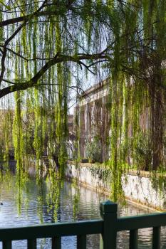 travel to Italy - green tree and waterfront of canal roggia Seriola river in urban public park Giardini Salvi (Garden of Valmarana Salvi) in Vicenza city in spring